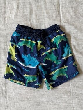 Carter's Navy Swim Shorts with Dinosaurs and Surf Boards